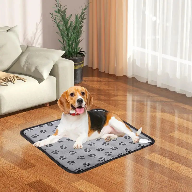 Couverture Électrique pour Animaux de Compagnie - Matelas Chauffant Hiver pour Chien et Chat avec Protection Anti-Morsure - La Maison Cozy