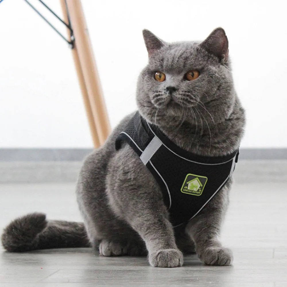 Harnais et Laisse Ajustables Respirants pour Chiens et Chats - Gilet Anti-Évasion pour Chat et Chien, Collier Réfléchissant pour Chat et Laisse pour Chiot et Chaton - La Maison Cozy