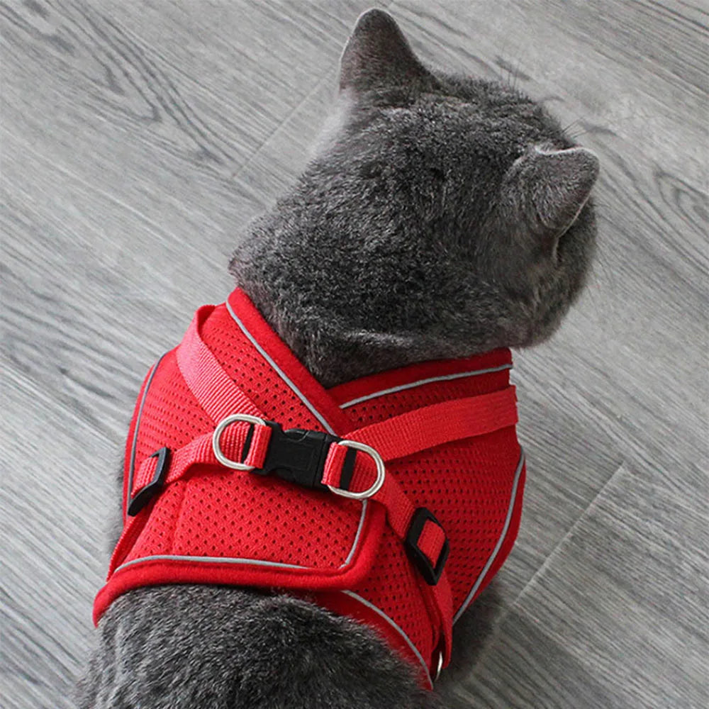 Harnais et Laisse Ajustables Respirants pour Chiens et Chats - Gilet Anti-Évasion pour Chat et Chien, Collier Réfléchissant pour Chat et Laisse pour Chiot et Chaton - La Maison Cozy