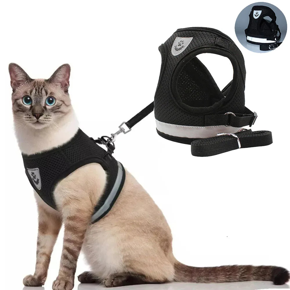 Harnais et Laisse Ajustables Respirants pour Chiens et Chats - Gilet Anti-Évasion pour Chat et Chien, Collier Réfléchissant pour Chat et Laisse pour Chiot et Chaton - La Maison Cozy