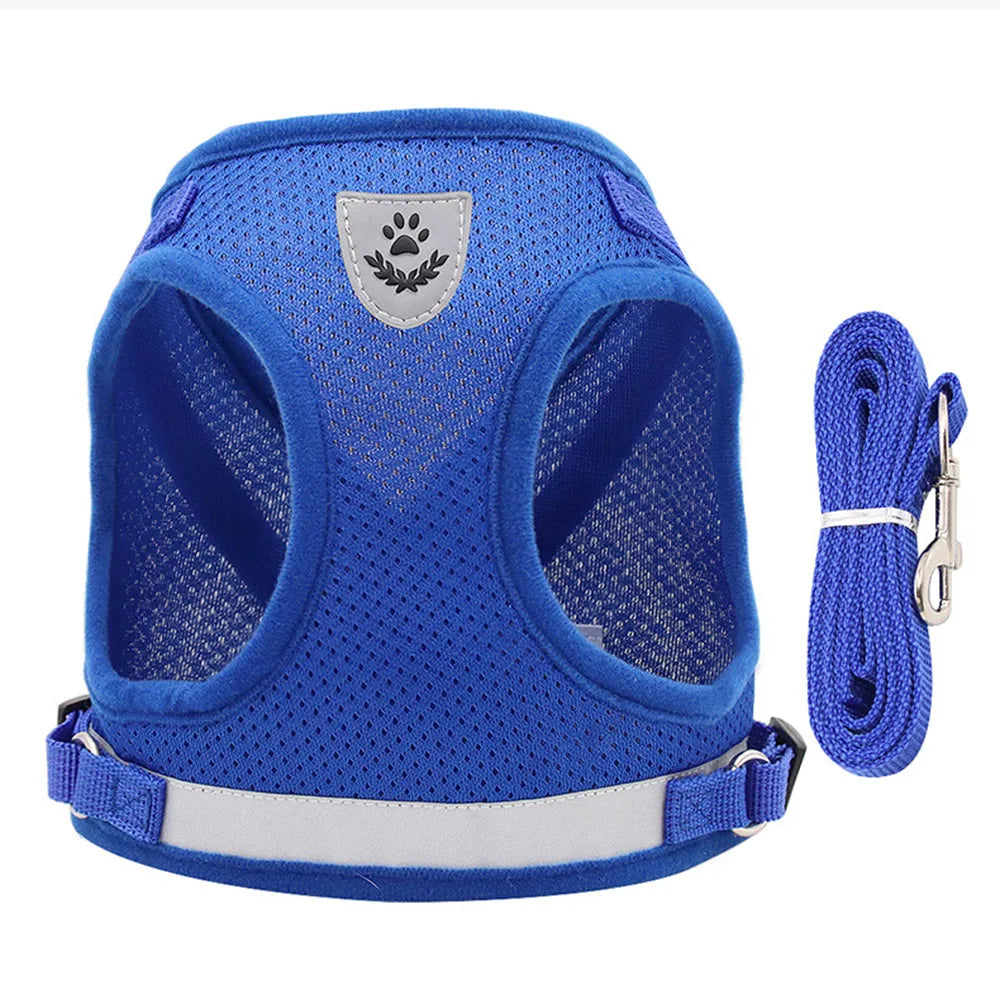 Harnais et Laisse Ajustables Respirants pour Chiens et Chats - Gilet Anti-Évasion pour Chat et Chien, Collier Réfléchissant pour Chat et Laisse pour Chiot et Chaton - La Maison Cozy