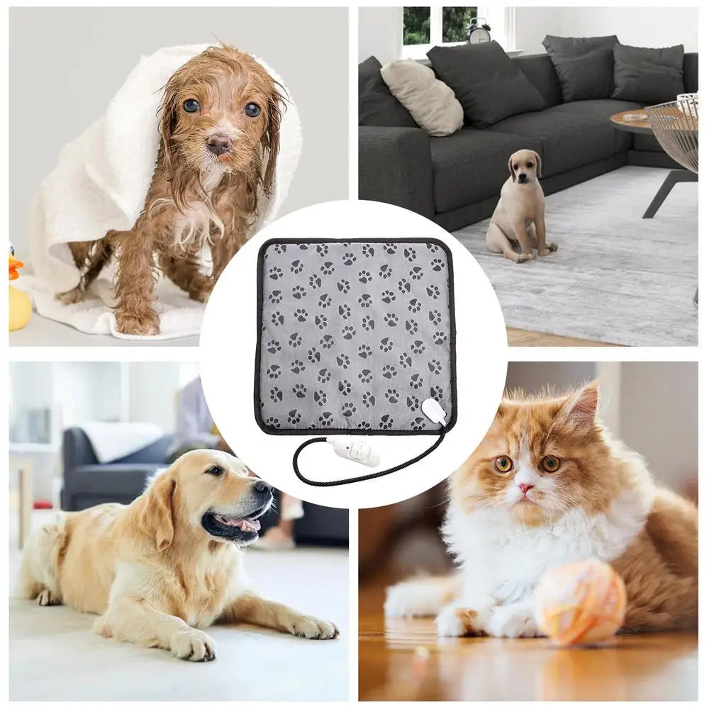 Couverture Électrique pour Animaux de Compagnie - Matelas Chauffant Hiver pour Chien et Chat avec Protection Anti-Morsure - La Maison Cozy