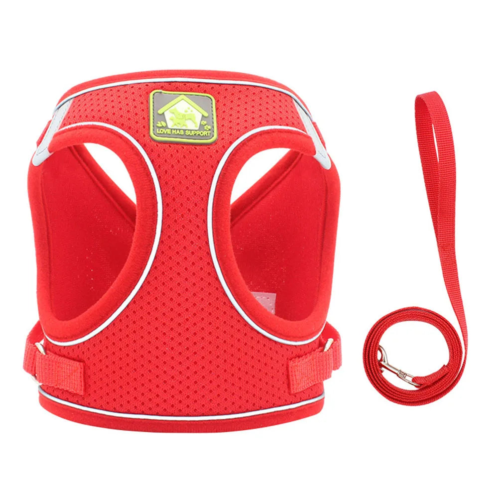 Harnais et Laisse Ajustables Respirants pour Chiens et Chats - Gilet Anti-Évasion pour Chat et Chien, Collier Réfléchissant pour Chat et Laisse pour Chiot et Chaton - La Maison Cozy