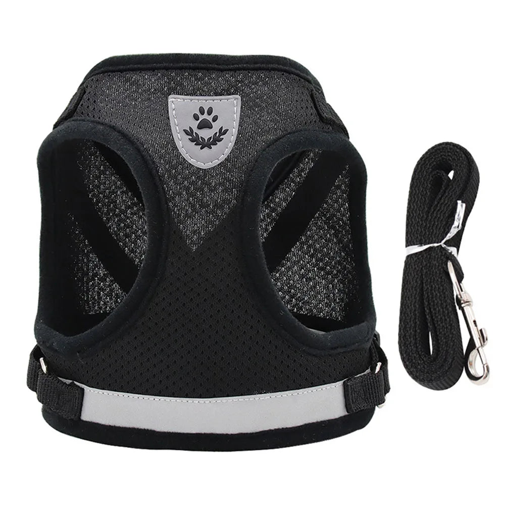 Harnais et Laisse Ajustables Respirants pour Chiens et Chats - Gilet Anti-Évasion pour Chat et Chien, Collier Réfléchissant pour Chat et Laisse pour Chiot et Chaton - La Maison Cozy